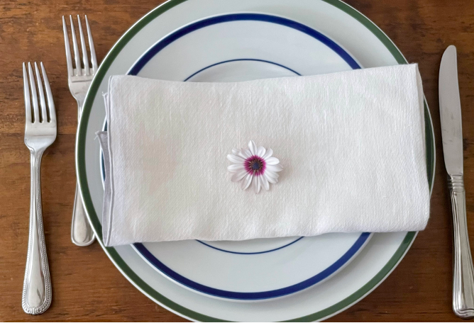 Aria Linen Napkins